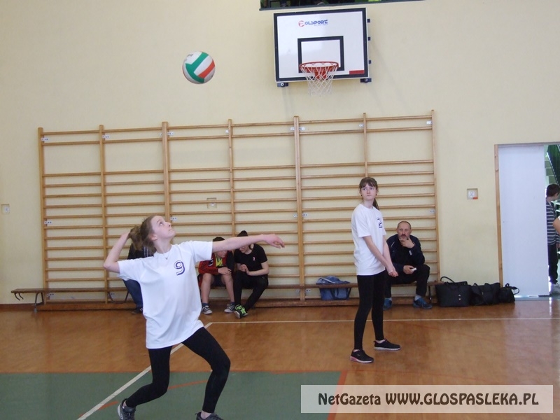siatkówka w gimnazjum 