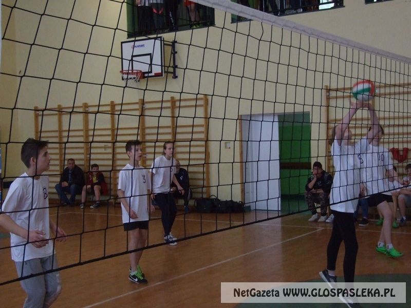 siatkówka w gimnazjum 