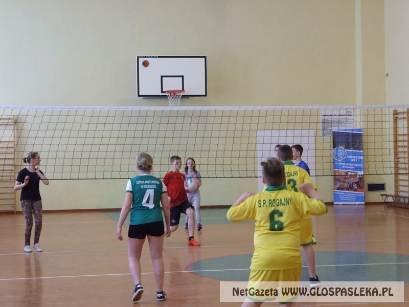 siatkówka w gimnazjum 