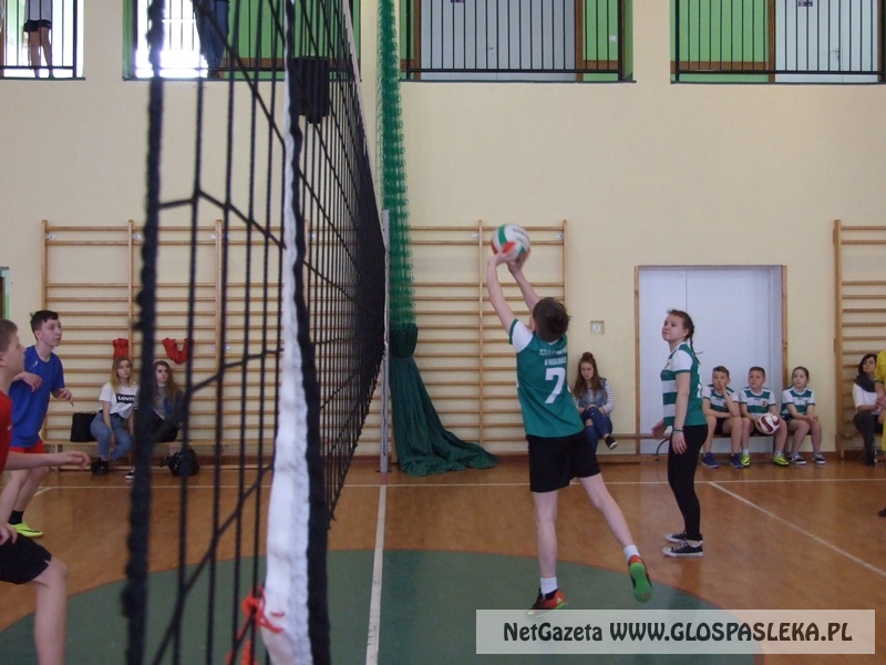 siatkówka w gimnazjum 