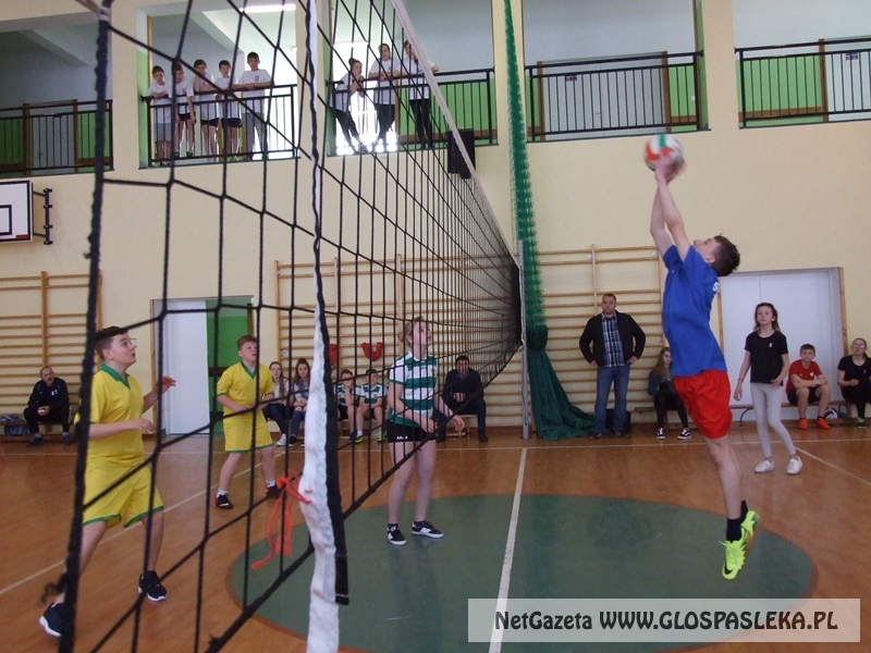 siatkówka w gimnazjum 