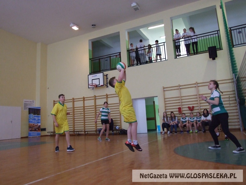 siatkówka w gimnazjum 