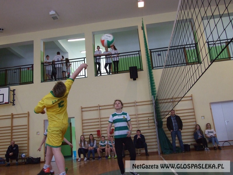 siatkówka w gimnazjum 