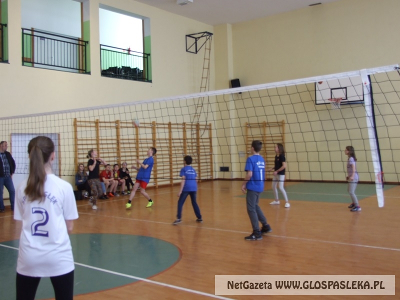 siatkówka w gimnazjum 