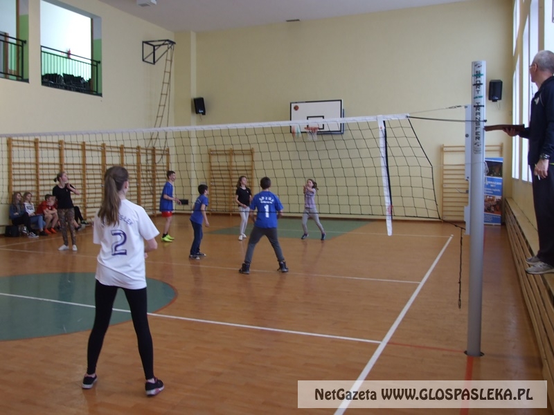 siatkówka w gimnazjum 