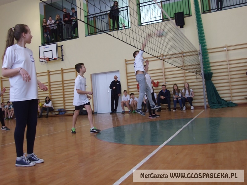 siatkówka w gimnazjum 