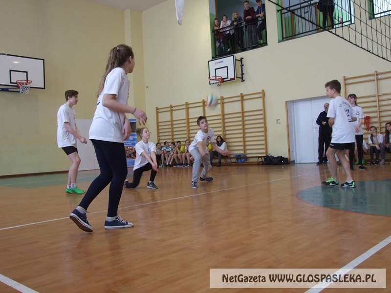 siatkówka w gimnazjum 