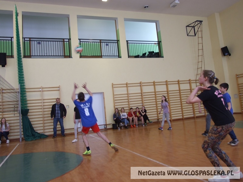 siatkówka w gimnazjum 