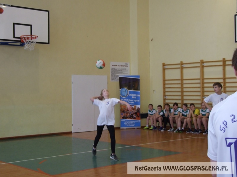 siatkówka w gimnazjum 