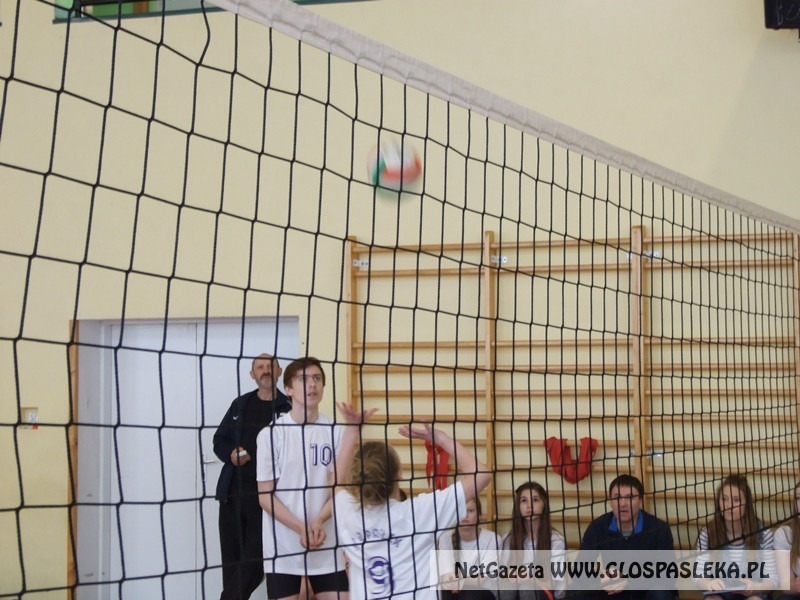 siatkówka w gimnazjum 