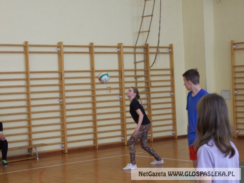 siatkówka w gimnazjum 