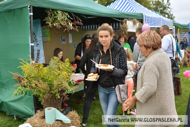 Gminne dożynki w Rychlikach 2017r. 