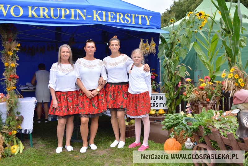 Gminne dożynki w Rychlikach 2017r. 