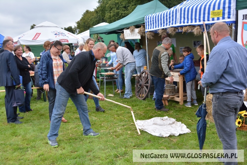 Gminne dożynki w Rychlikach 2017r. 