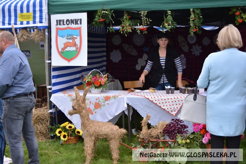 Gminne dożynki w Rychlikach 2017r. 