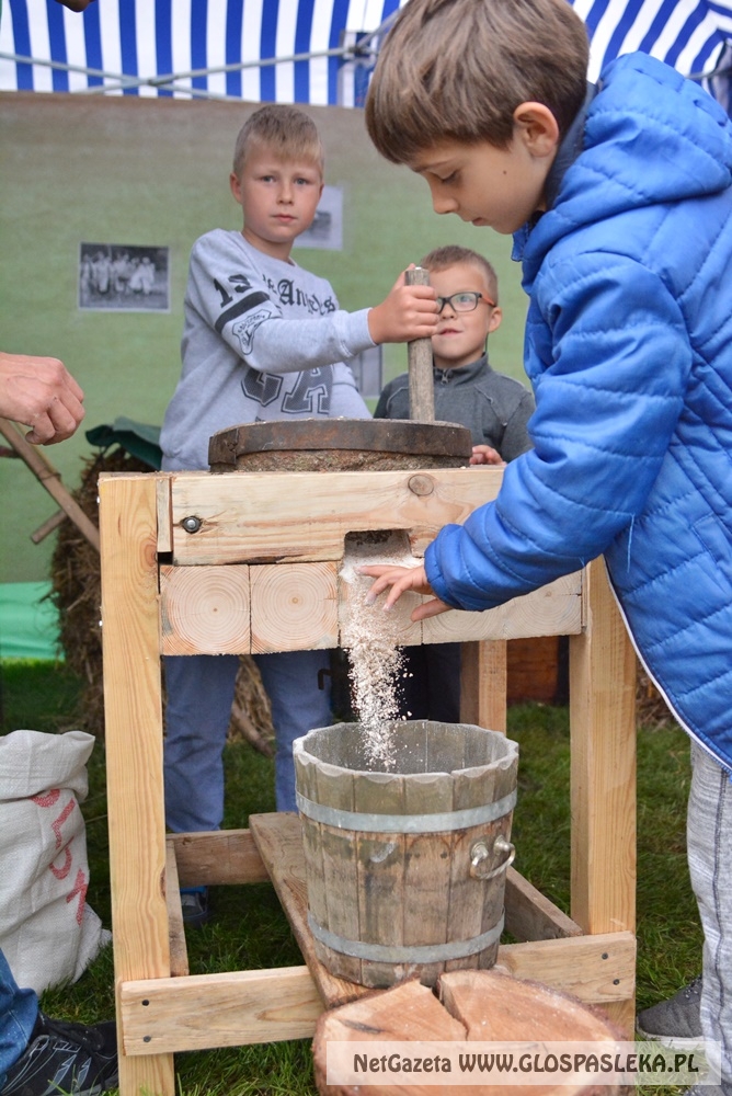 Gminne dożynki w Rychlikach 2017r. 