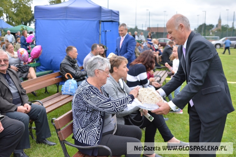 Gminne dożynki w Rychlikach 2017r. 