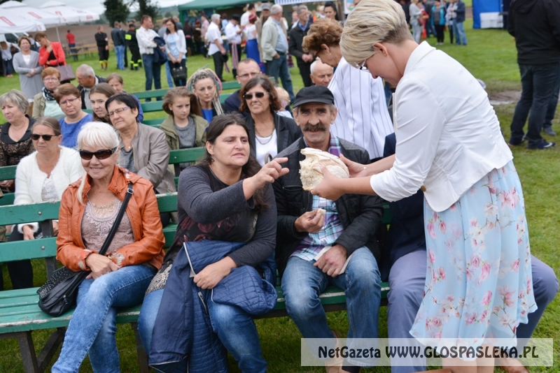 Gminne dożynki w Rychlikach 2017r. 