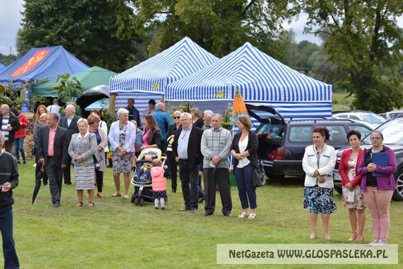 Gminne dożynki w Rychlikach 2017r. 