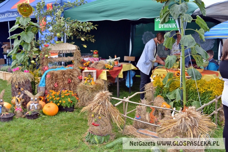 Gminne dożynki w Rychlikach 2017r. 