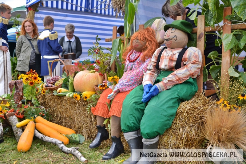 Gminne dożynki w Rychlikach 2017r. 