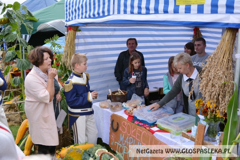 Gminne dożynki w Rychlikach 2017r. 