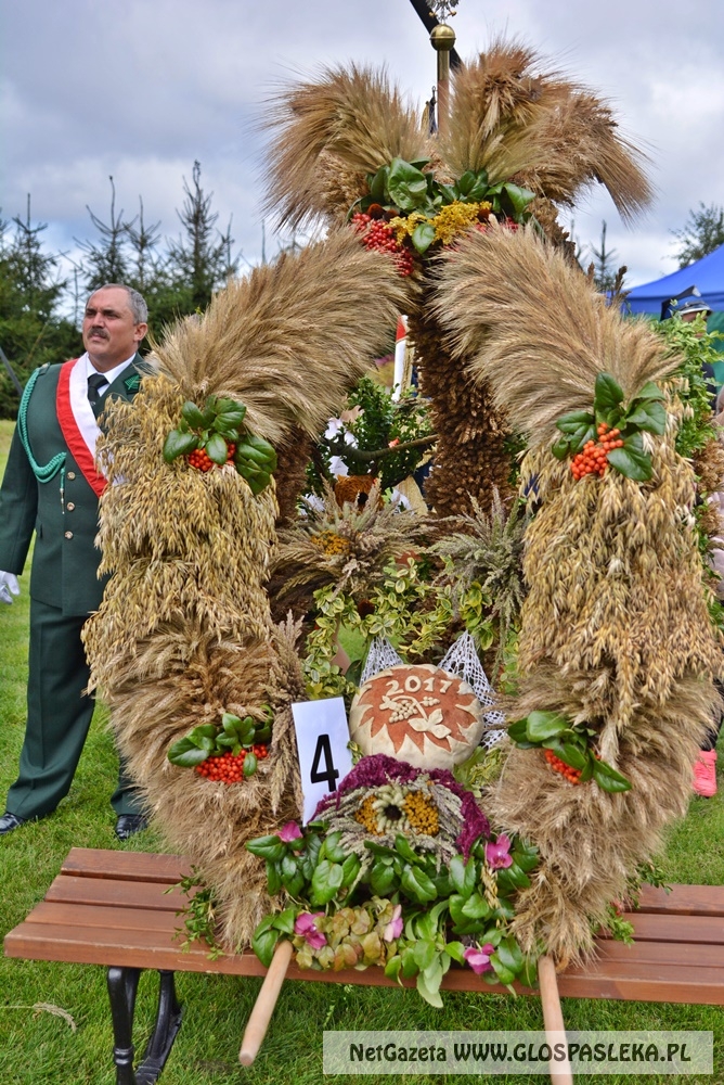Gminne dożynki w Rychlikach 2017r. 