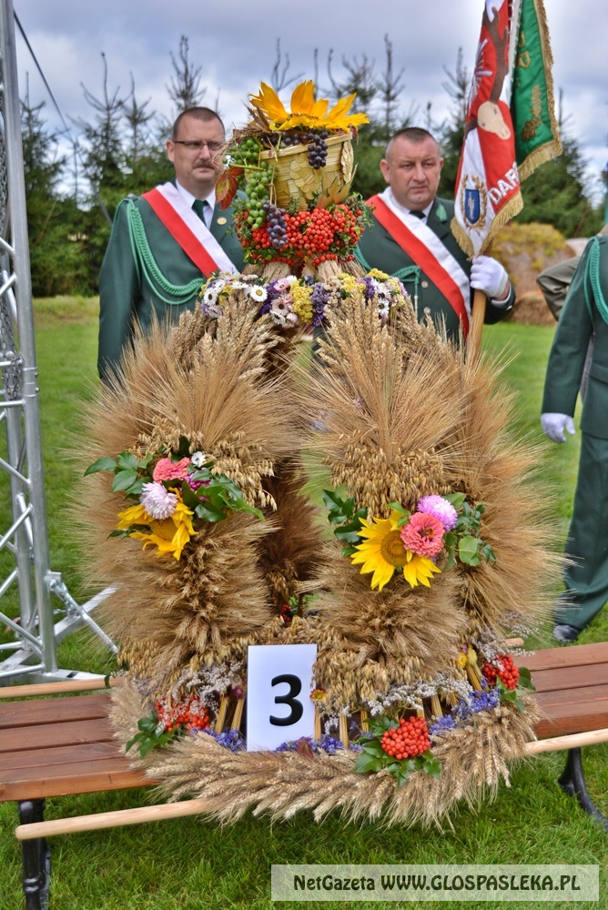 Gminne dożynki w Rychlikach 2017r. 