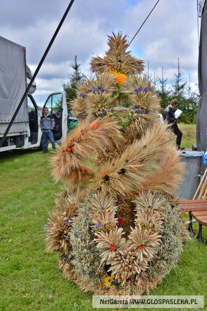 Gminne dożynki w Rychlikach 2017r. 
