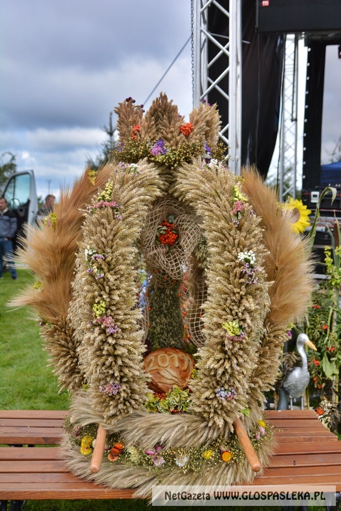 Gminne dożynki w Rychlikach 2017r. 