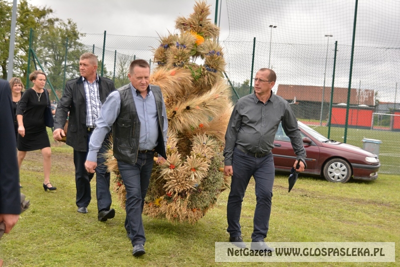 Gminne dożynki w Rychlikach 2017r. 