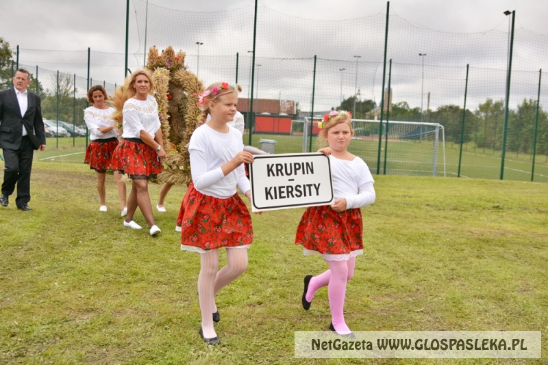 Gminne dożynki w Rychlikach 2017r. 