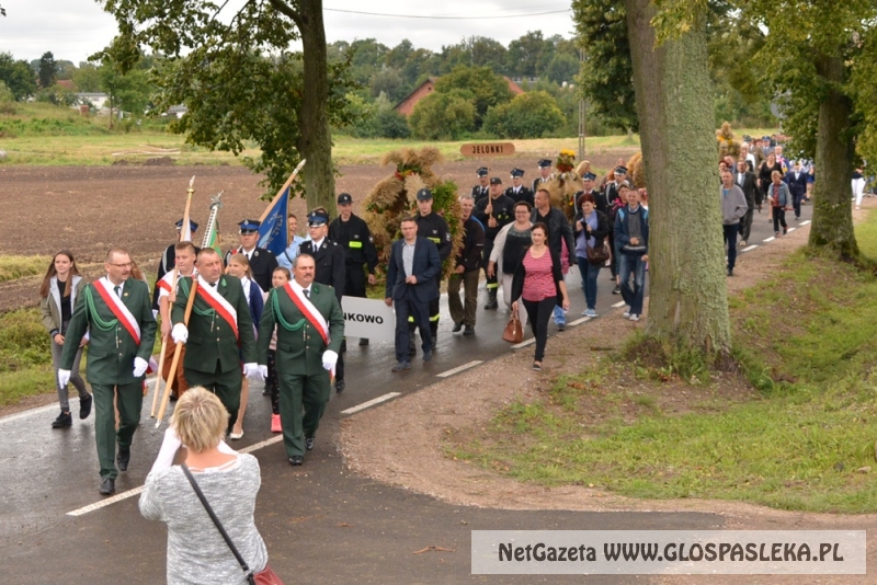 Gminne dożynki w Rychlikach 2017r. 