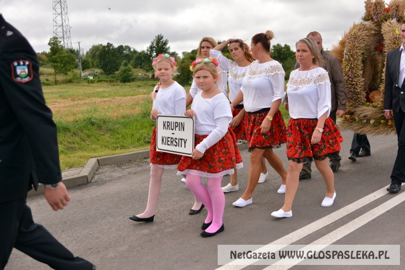 Gminne dożynki w Rychlikach 2017r. 