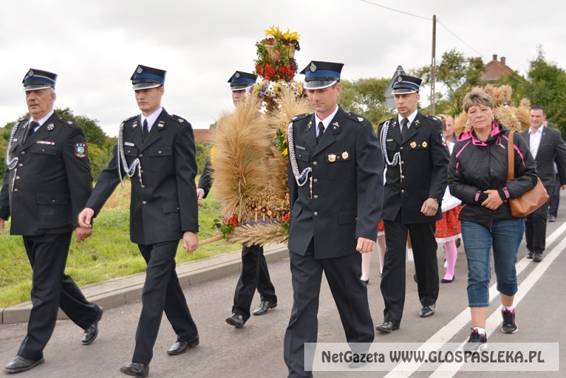 Gminne dożynki w Rychlikach 2017r. 