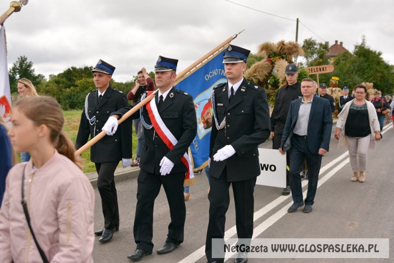 Gminne dożynki w Rychlikach 2017r. 