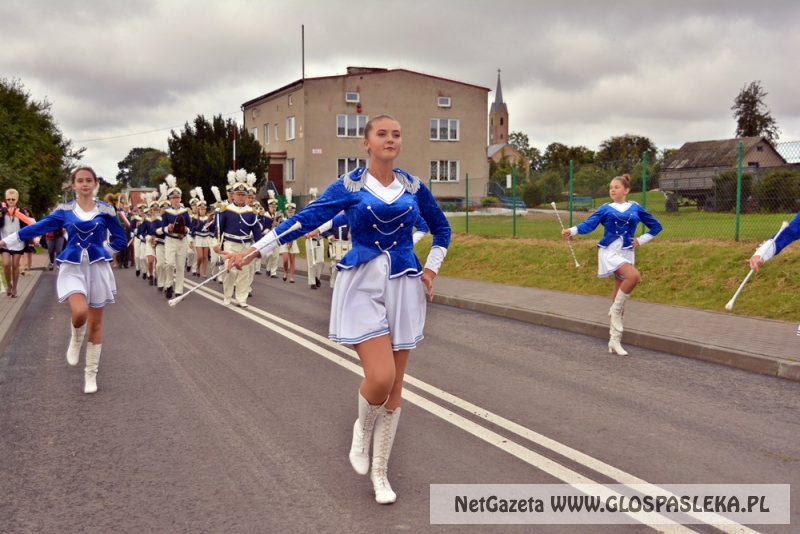 Gminne dożynki w Rychlikach 2017r. 