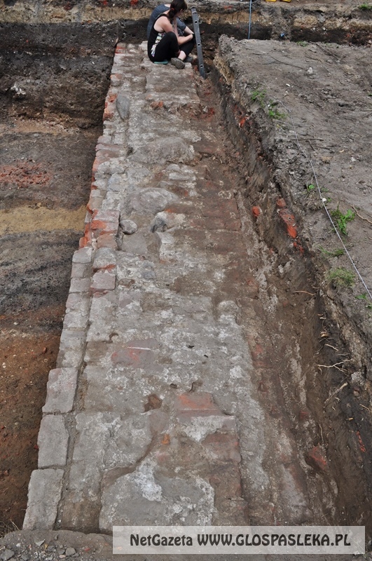 wykopaliska koło zamku