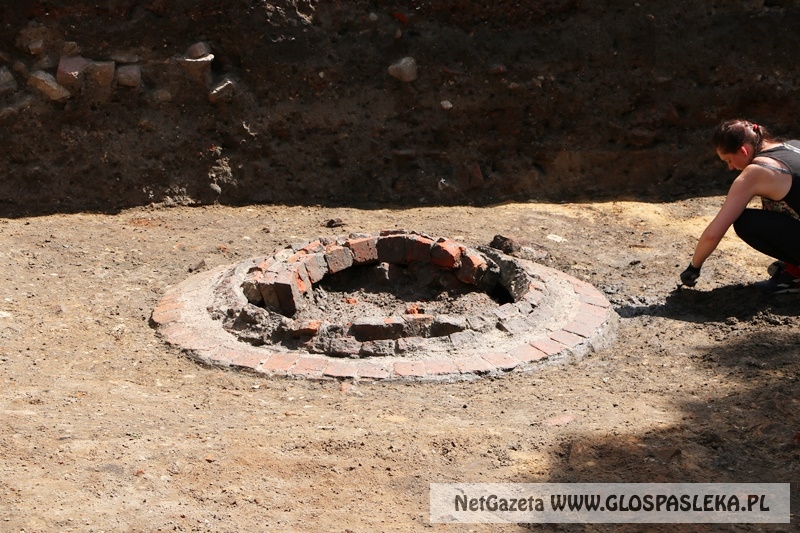 wykopaliska koło zamku