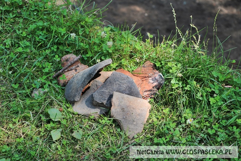 wykopaliska koło zamku