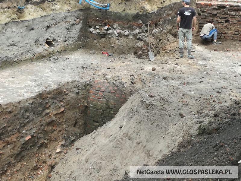 wykopaliska koło zamku