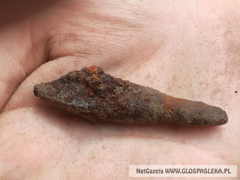 wykopaliska koło zamku