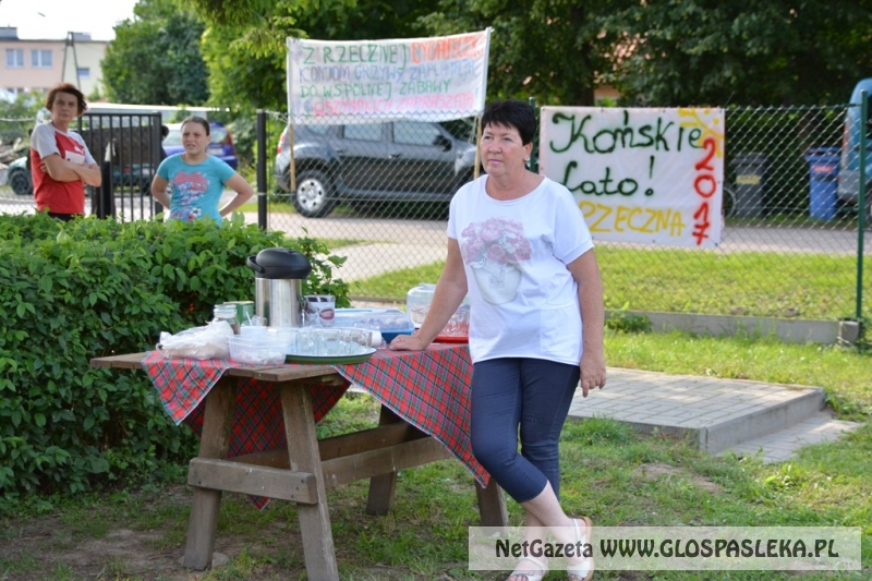 rozpoczecie pleneru w Rzecznej
