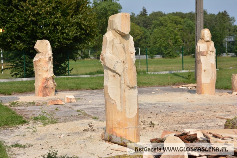 rozpoczecie pleneru w Rzecznej