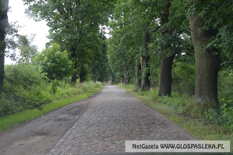 Droga Rychliki - Śliwica