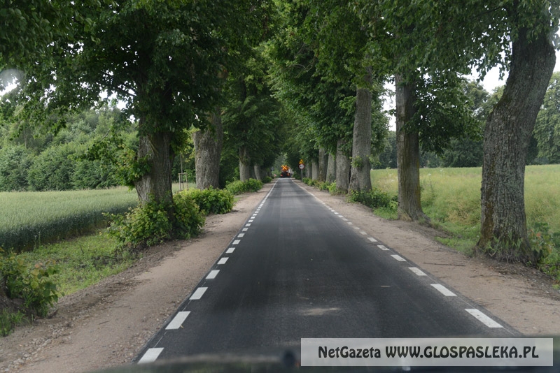 Droga Rychliki - Śliwica