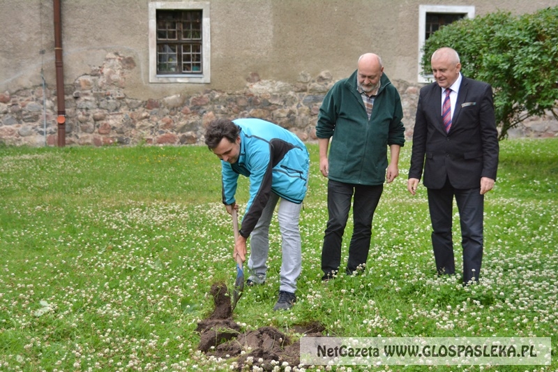 wykopaliska koło zamku
