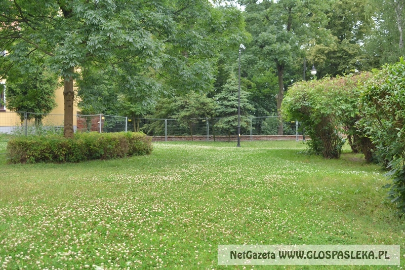 wykopaliska koło zamku