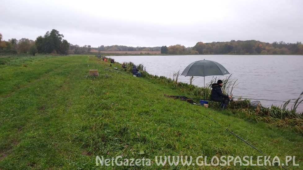 Grand Prix Zakrzewka II