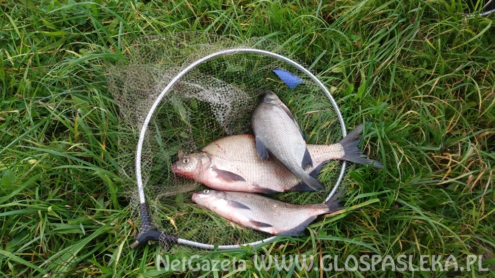 Grand Prix Zakrzewka II